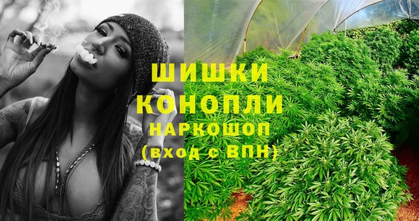 прущие крисы Козельск
