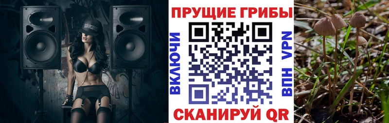 Купить закладки  Черемхово  Псилоцибиновые грибы прущие грибы 